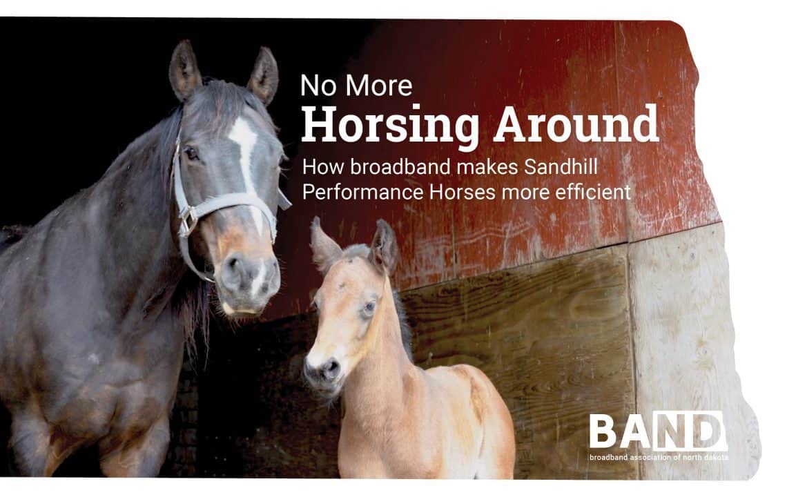 2019-08 BAND NCC+SandHill Performance Horses Wireframe Graphics