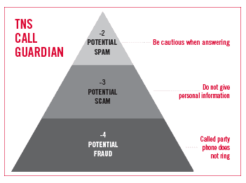 TNS call guardian pyramid with values